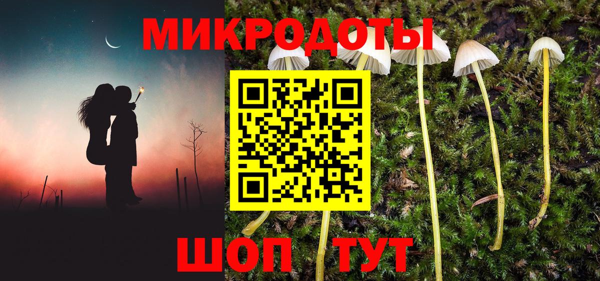 Псилоцибиновые грибы MAGIC MUSHROOMS  Псилоцибиновые грибы GOLDEN TEACHER  Вход с VPN  Всеволожск 