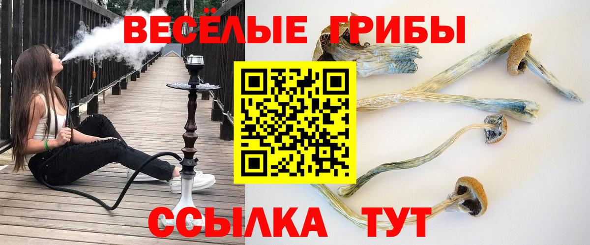 Галлюциногенные грибы MAGIC MUSHROOMS Всеволожск